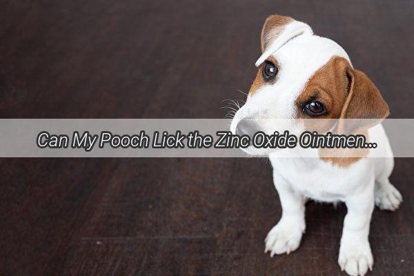 Can My Pooch Lick the Zinc Oxide Ointment Unveiling the Truth Behind Safe Pet Care